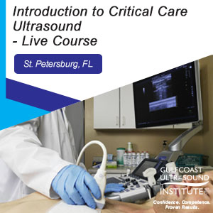 Introduction to Critical Care Ultrasound